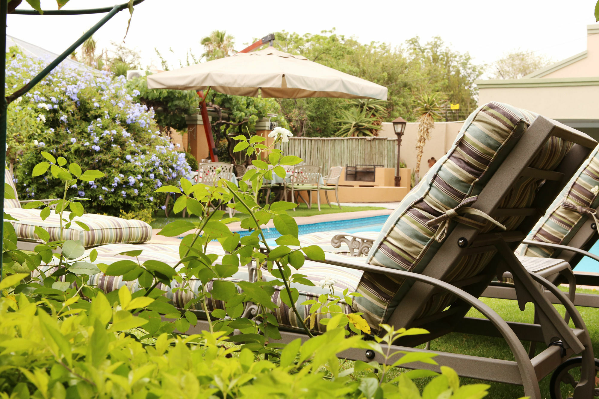 Oleander Guest House كيمبرلي المظهر الخارجي الصورة
